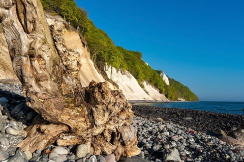 View of chalk cliffs in Jasmund National Park on Rügen, Königsstuhl, Sassnitz, Rügen,
