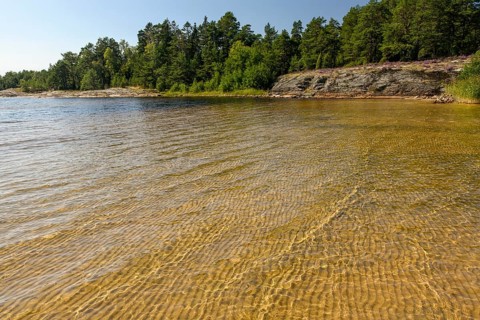 Clear water on sandy shore Beach surrounded by forest landscape under sunny sky, at Lake Vänern,