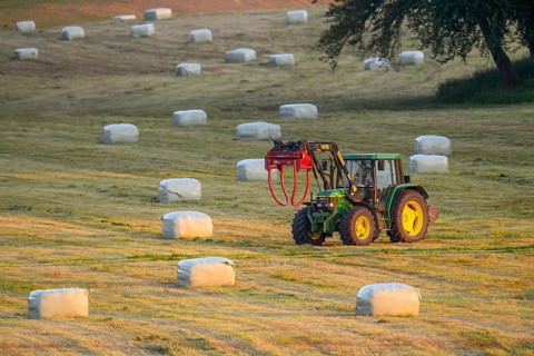 A tractor with front loader moves across a meadow with hay bales round bales in the warm light of