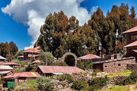 Rustic stone and wood village farm houses in front of imposing trees under cloudy skies, the