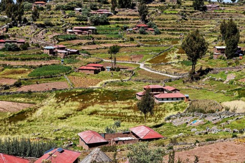 Small village with red roof huts on terraces surrounded by green fields, countryside and farmhouses