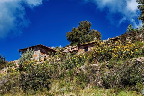 Stone farm houses on a hilly terrain with yellow flowers and trees under a blue sky, The