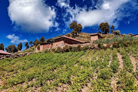 Agricultural fields on a hill under a sky full of white clouds, the countryside and farmhouses on