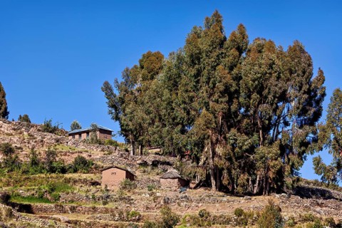 Houses and trees on a hill under clear blue skies surrounded by terraces, the countryside and