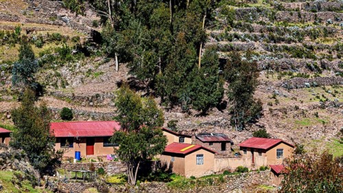 Small farm houses and terraced landscape on a hill with stone walls and trees, The countryside and