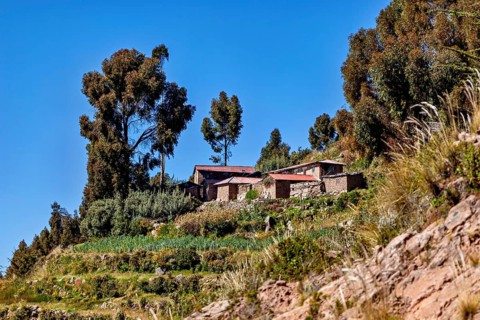 Stone farm houses on a hill surrounded by trees under a clear blue sky, the countryside and