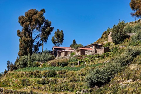 Some farm houses are on terraced slopes surrounded by lush vegetation and standing trees, The