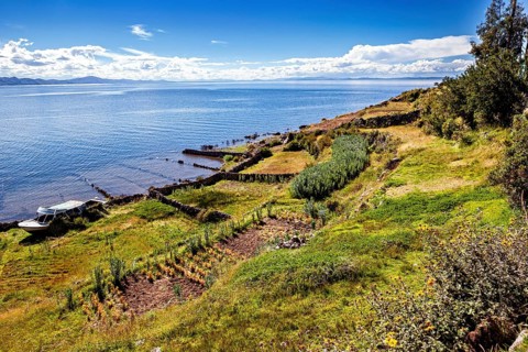 Coastal landscape with fields and vegetation on the shores of a large lake under blue sky, The
