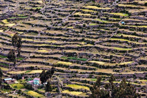 Wide terraced landscape on a hill with isolated farm houses and vegetation, the countryside and