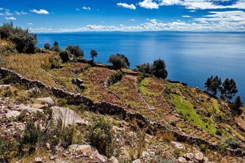 View of a large lake and planted fields that contribute to a quiet and peaceful landscape, The