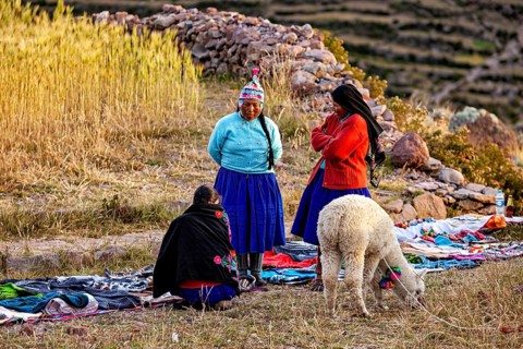 Women in traditional clothing stand in a meadow next to an alpaca and piles of stones, The woman on