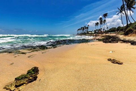 A sunny beach with palm trees on the ocean, waves meet the sand, blue sky, Koggala beach with stilt