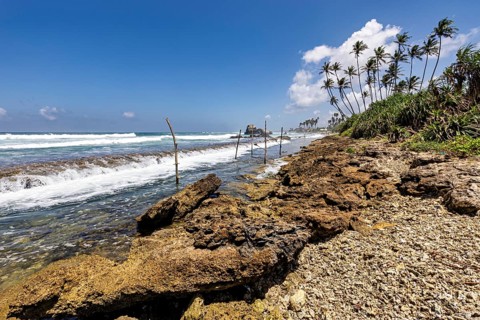 Rough beach with rocks, palm trees and waves in the midday sun, Koggala beach with stilt fishermen