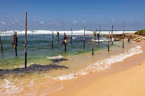 Fishermen sitting on stilts above sea in sunny skies, Koggala beach with stilt fishermen in Sri