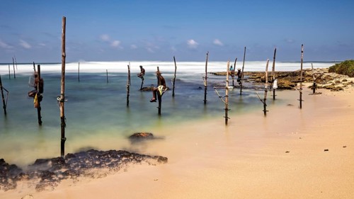Fishermen on wooden posts in the turquoise water of a beach, Koggala beach with stilt fishermen in