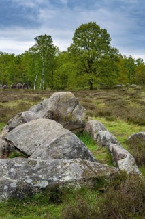 Glan Bride, Glander Steine, megalite grave, megalite culture, Dötlingen, Lower Saxony, Germany