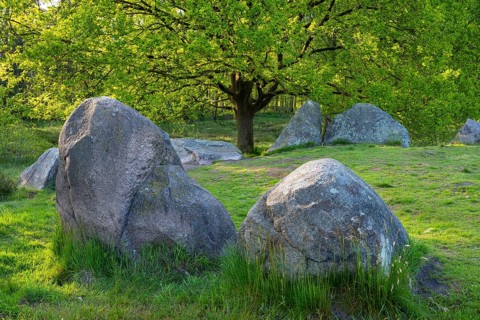 Glan Bride, Glander Steine, megalite grave, megalite culture, Dötlingen, Lower Saxony, Germany