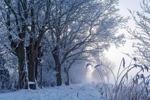 Hiking trail, Unterer Warwischer Wasserweg, in the snow on a hazy winter day in Hamburg's Vier- und