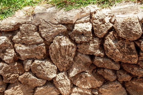 In the 80s, coral in the sea was dredged to be used as building material, Kuta, Bali, Indonesia