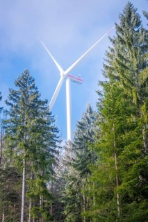 Wind turbine towering into the sky between green trees, Black Forest, Germany
