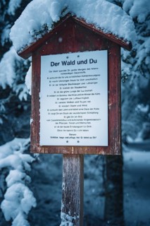 A snowy wooden sign in the forest against the backdrop of snow-covered trees, Broom Field, Black