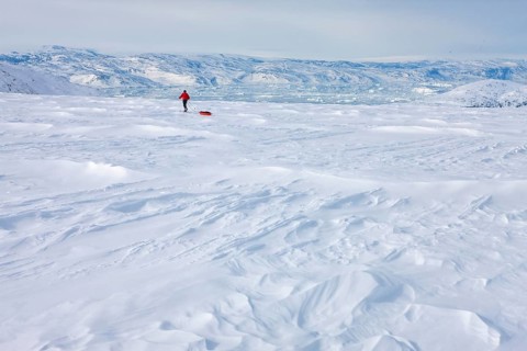 A tourist on a winter Arctic expedition skiing along Ikasartivaq Fjord, Sermersooq municipality,