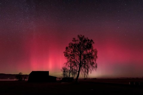 Northern lights, aurora borealis, solar storm, January 2026, red, green, hut, trees, birch,