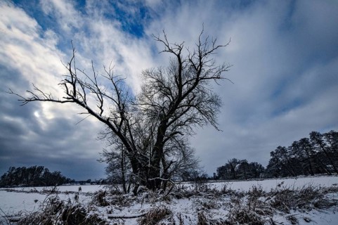 Wintery floodplain landscape along the Schmutter in the Augsburg Western Wälder nature park Park,