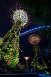 Supertree Grove, illuminated Supertrees towering over Gardens by the Bay, GBTB, urban park in the