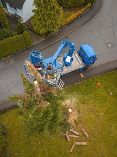Aerial view of workers on a lift next to a cut tree, tree work, Gechingen, Calw district, Germany