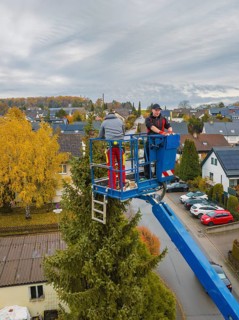 Workers on a lift working on a tree in an urban environment, tree work, Gechingen, Calw district,