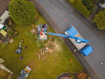 Fence, tree cutting with crane, worker removing branches on green field, autumn landscape, tree