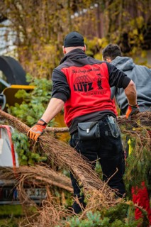 Two workers wearing protective clothing cut off branches of a tree, tree work, Gechingen, Calw