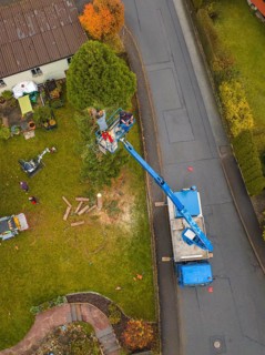 Lifting platform with workers on a road working on a tree surrounded by vehicles, tree work,