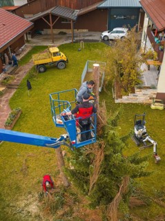 View of a group in a lift working with construction machinery in a garden, tree work, Gechingen,