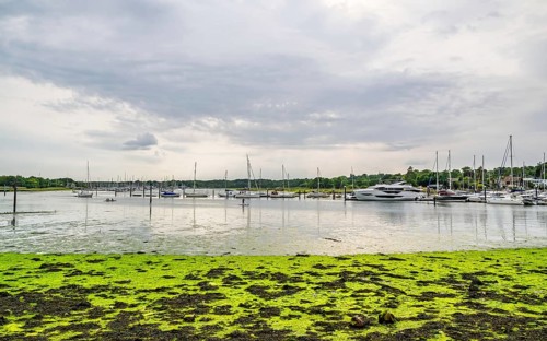 Swanwick Marina, River Hamble, Swanwick, Southampton, Hampshire, UK