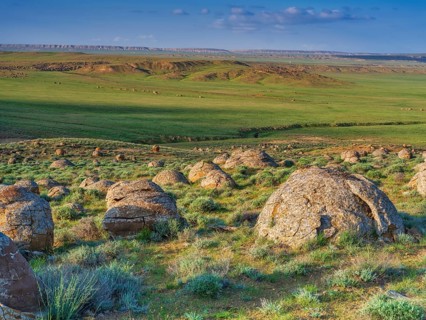 The large spherolites (concretions) at Torysh, with over 500–600 spheres of various sizes covering