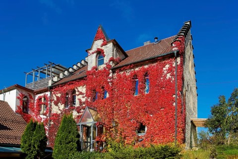 Restaurant Altes Forsthaus near Lichtenstein Castle, restaurant, dining restaurant, historic