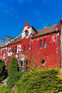 Restaurant Altes Forsthaus near Lichtenstein Castle, restaurant, dining restaurant, historic
