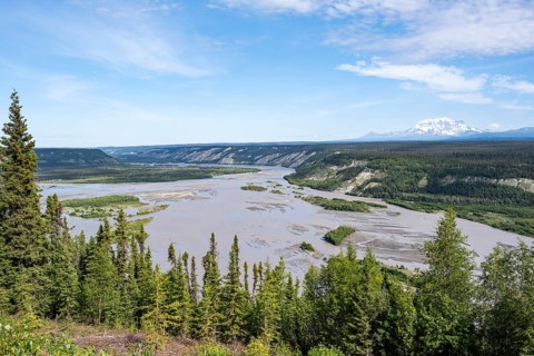 Copper River and Taiga landscape with forest, high mountain peaks in the back, Wrangell Mountains,