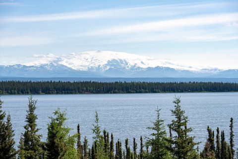 Lake Willow Lake, taiga landscape with high glaciated mountain peak Mount Wrangell, Wrangell