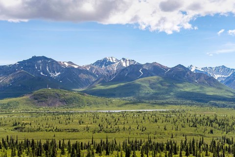 Taiga and tundra in front of mountain landscape, picturesque landscape, Glenn Highway, Alaska, USA