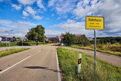 Town entrance sign, general development, building, road, guide post, trees, grass, forest, blue