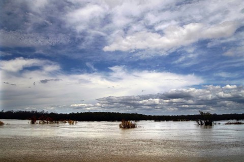 Flooded landscape with dramatic sky and clouds, Mississippi, USA
