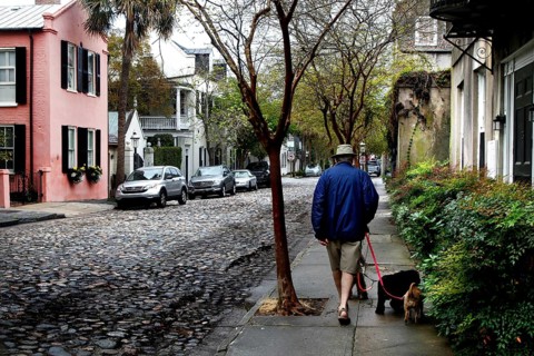 Cosy street scene with walkers and historic charm in Charleston, Charleston, South Carolina, USA