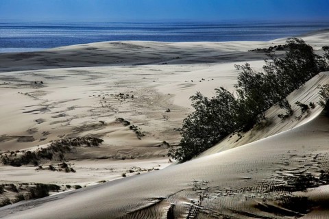View of extensive sand dunes with small bushes and adjacent water, Ephas Height, Kaliningrad,