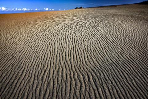 Wide, wavy sand dune landscape under blue sky on the Curonian Spit, Swan Lake, Curonian Spit,