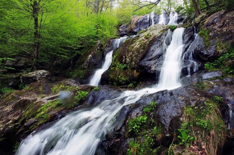 Flowing waterfall surrounded by green nature in Shenandoah National Park, Shenandoah, Virginia, USA