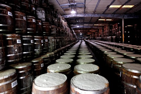 Storage room with endless rows of Tabasco barrels, Avery Island, Louisiana, USA