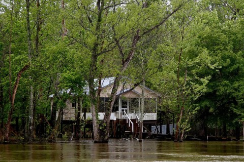 A lonely house is hidden in the swampy forest, Atchafalaya Basin, Louisiana, USA